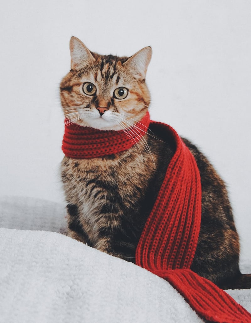 Repurposed Accessories